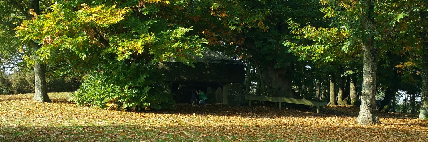 lilClarinet's profile banner image