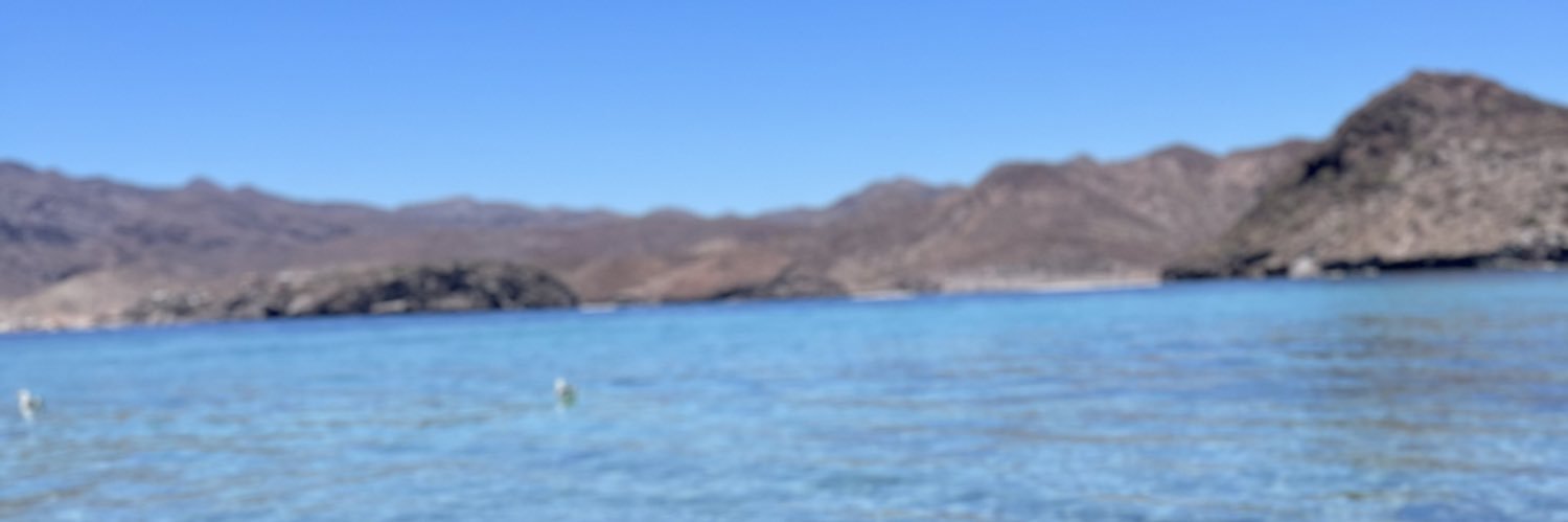 Dra B B-lynch banner