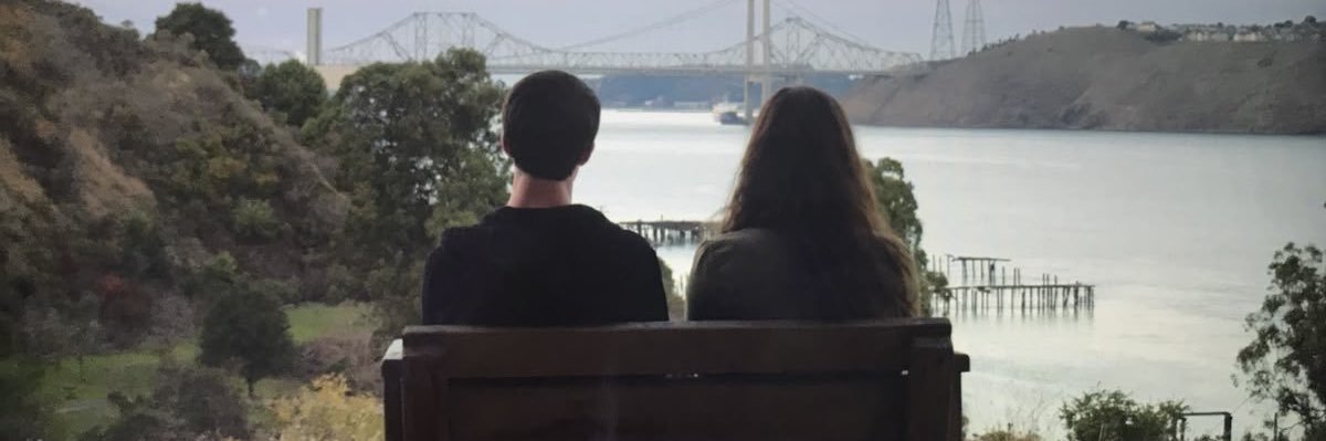 bibis banner
