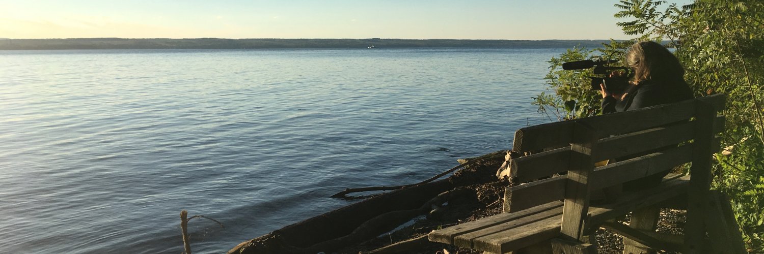 Twinklybird's profile banner image