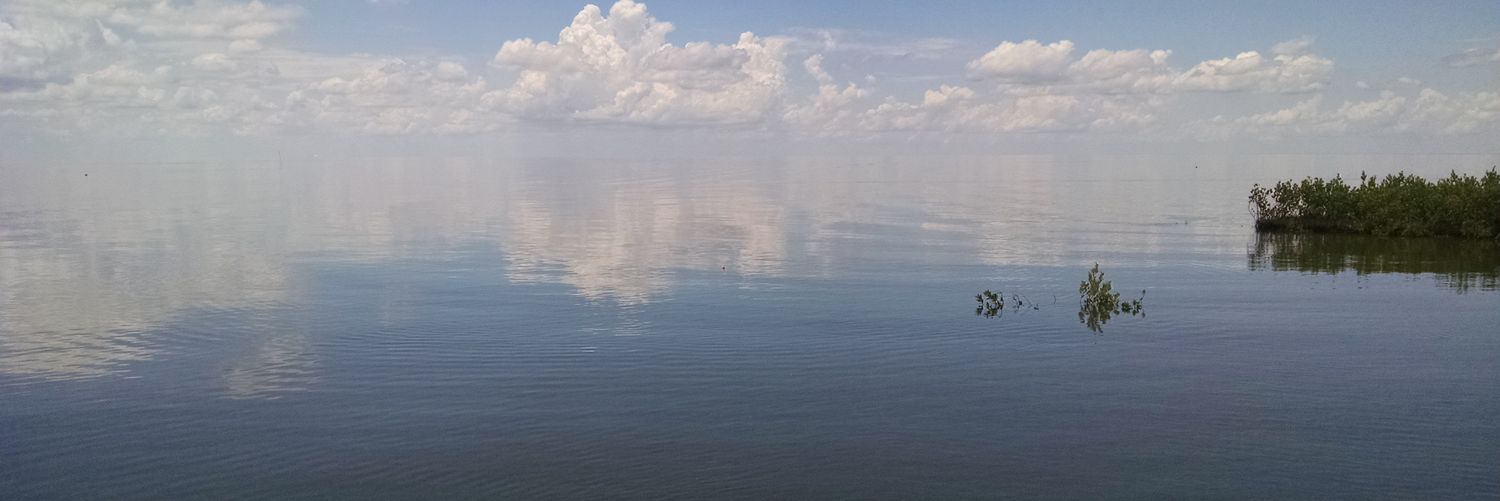 TwhodatB's profile banner image