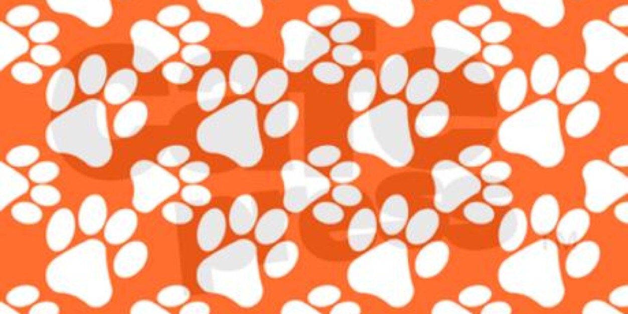clemsonbananas's profile banner image