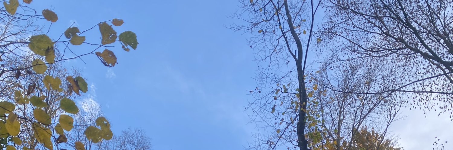 mererah's profile banner image