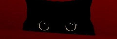 K. banner