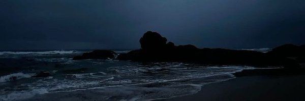 ShapeshifterONE Profile Banner