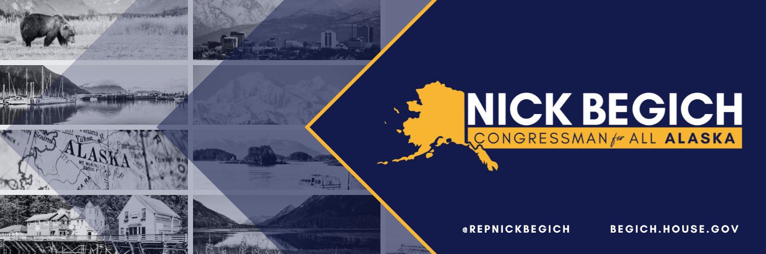 Congressman Nick Begich's banner