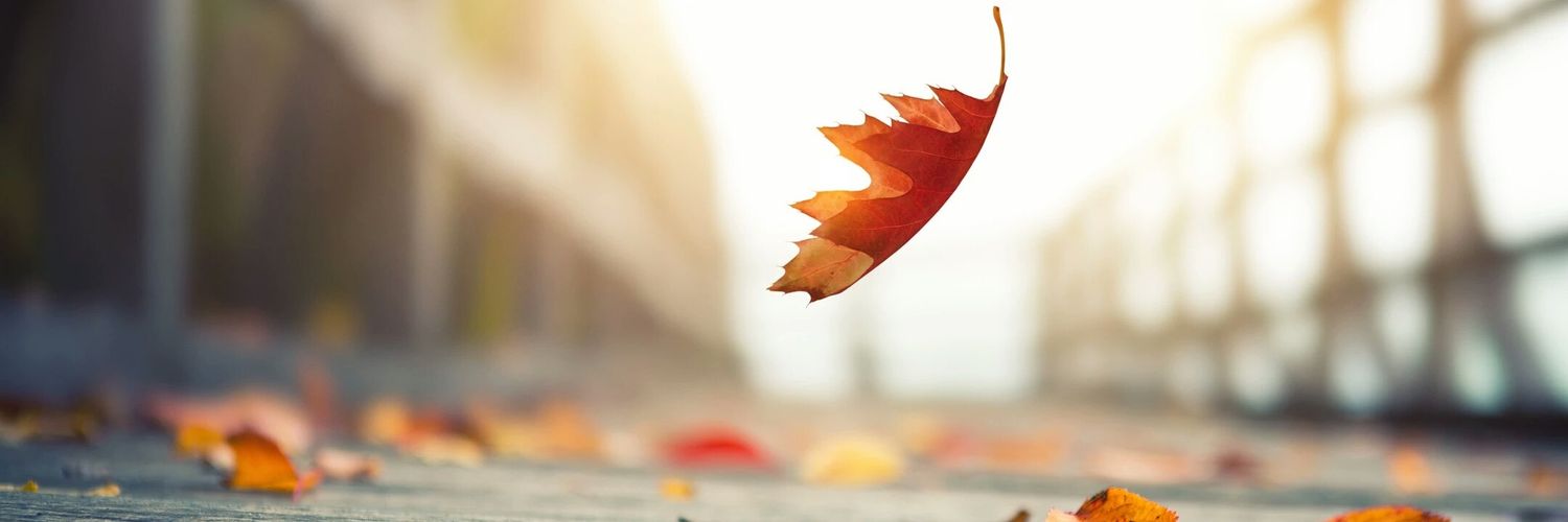 rahar_d's profile banner image
