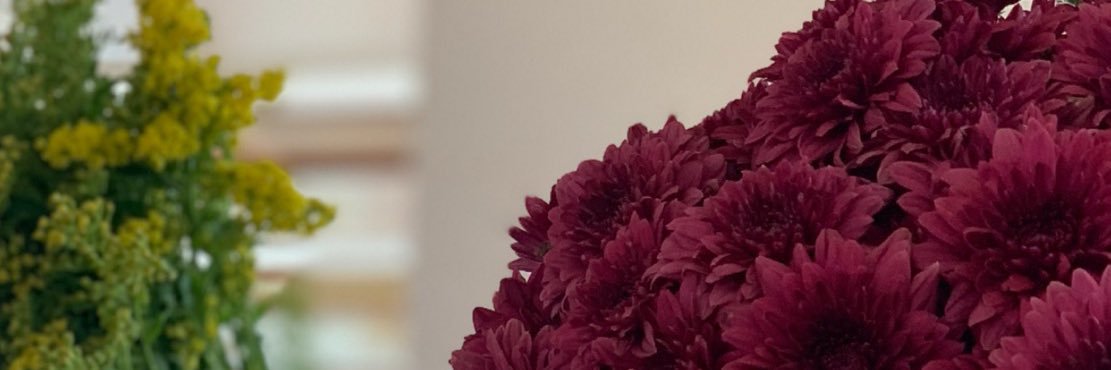 Al3ashm's profile banner image