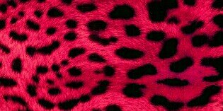 Missyhot87's profile banner image