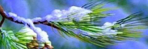 yasirbasbug's profile banner image