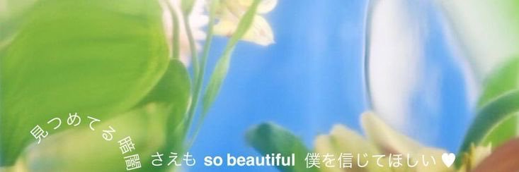 daily zoro ꨄ's banner