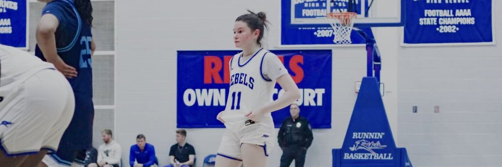 Ellison Silver banner