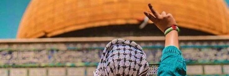 🏴‍☠️ Libyan banner