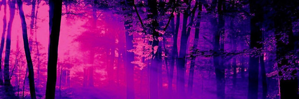 lndi_'s profile banner image