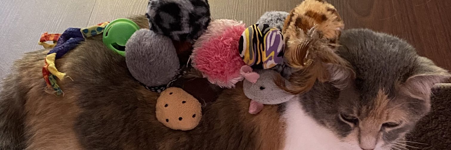 Michael Matthew Molnar banner