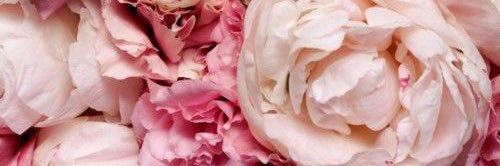 MorganMisti's profile banner image