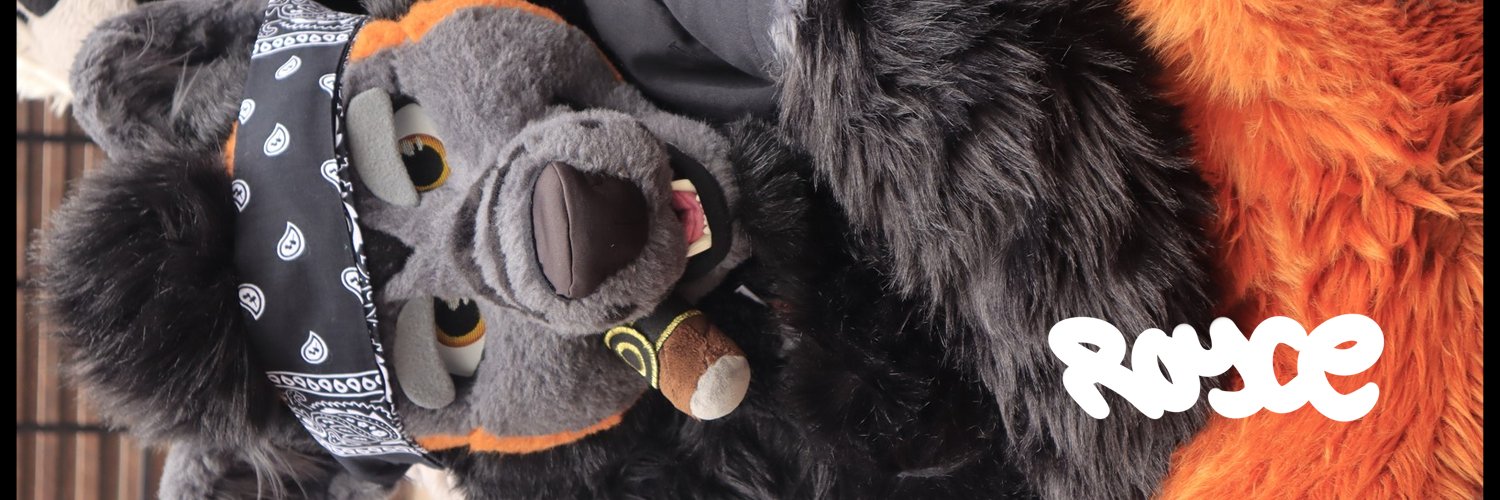 royce 🔞 🔜 CFz banner