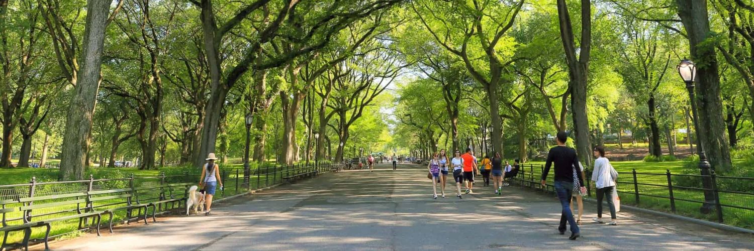 What Happens in Centralpark banner