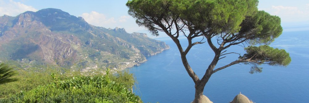 Deva Fagan (Not Here Anymore) banner