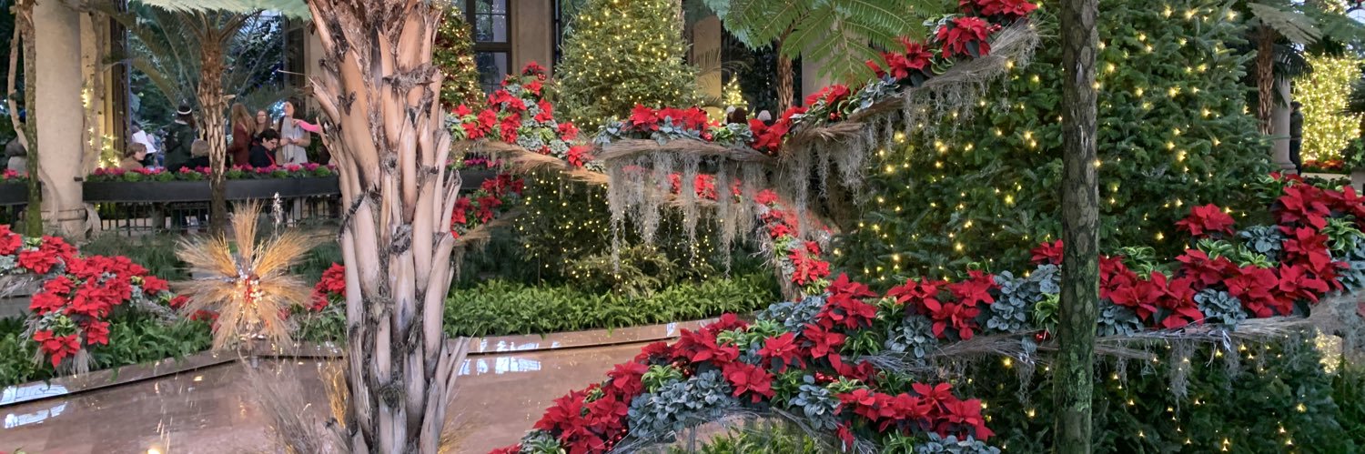 Christine 📚 🍎 👩🏼‍🏫 banner