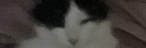 Stichu's banner