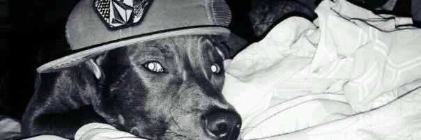 CarlitosMonzon5's profile banner image
