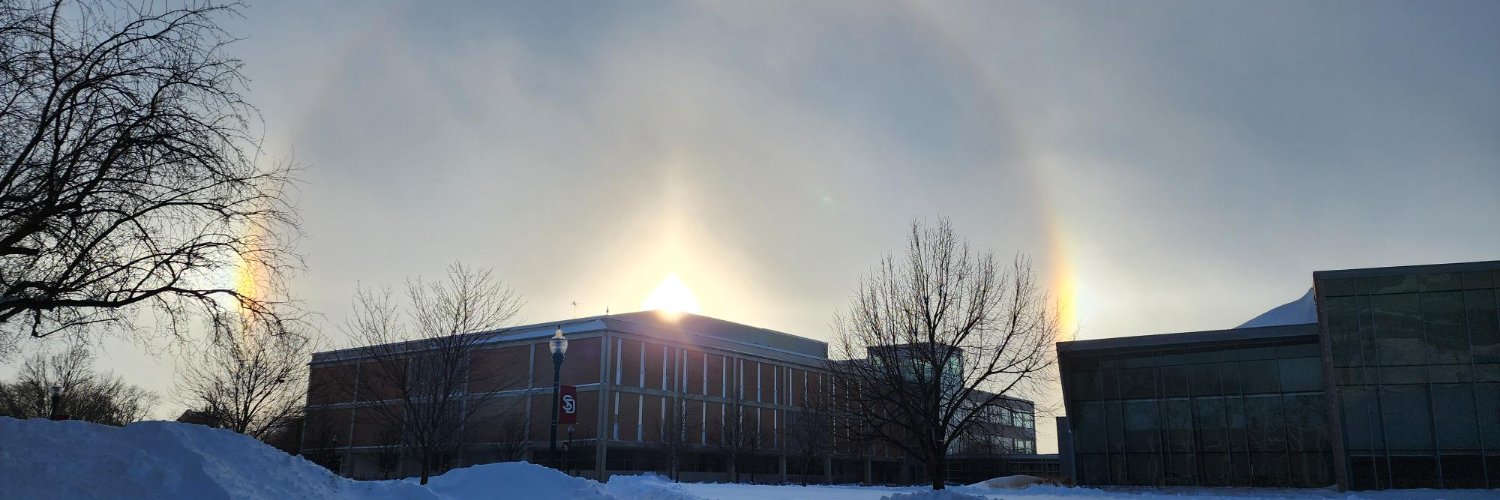 University Libraries banner