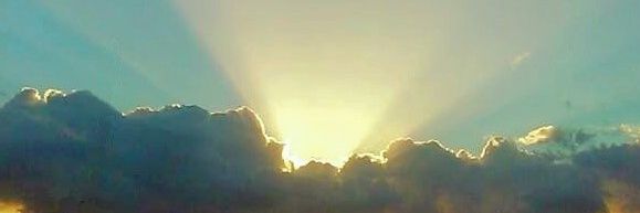 Leona🕊️ ◦'s banner