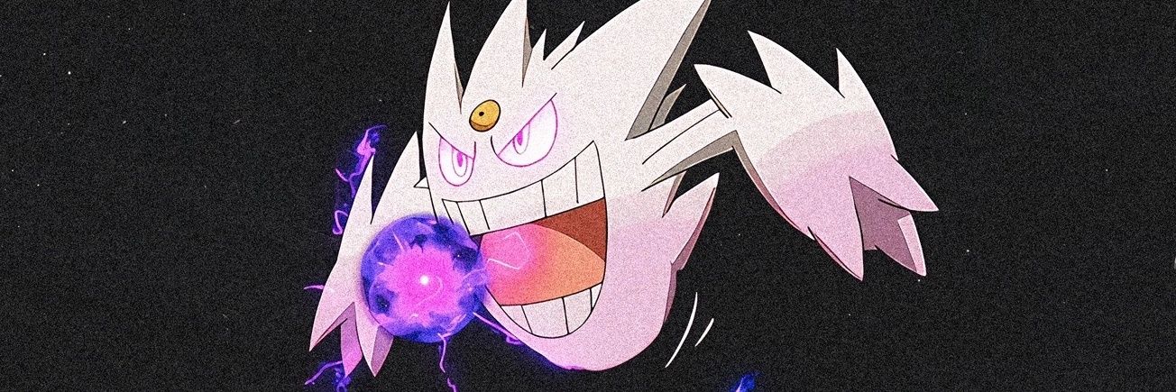 P A P U banner
