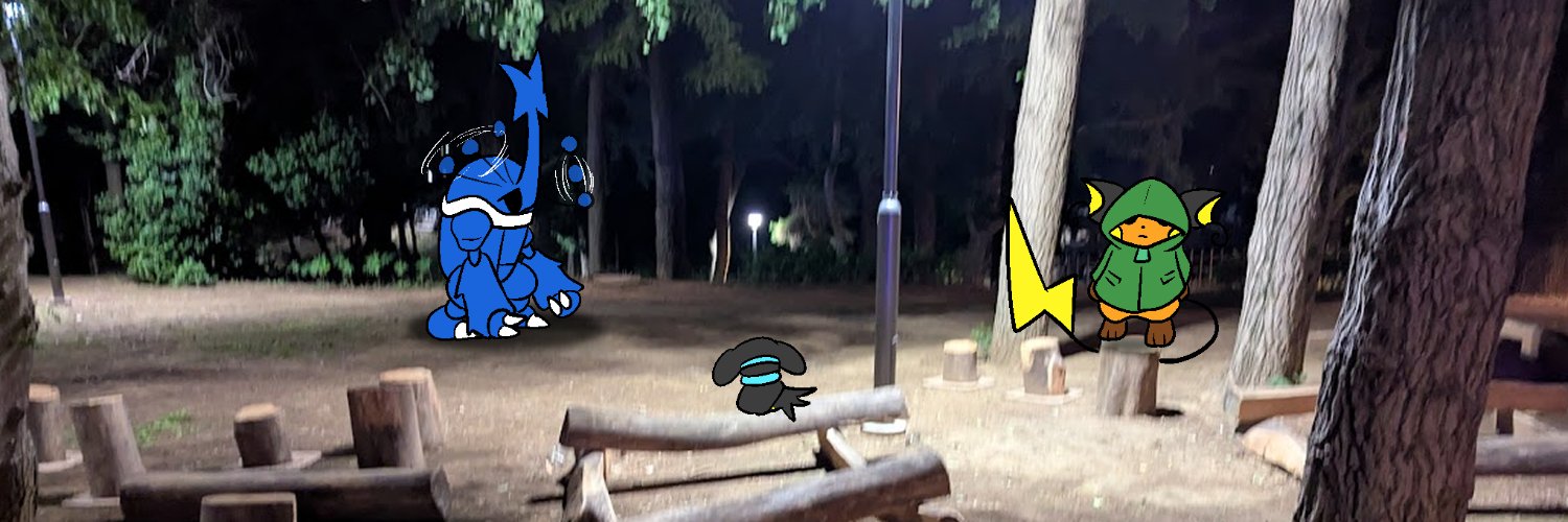 pokedama's profile banner image