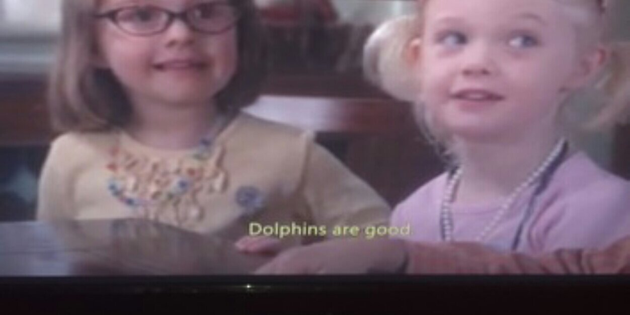 TheDolphinGod's profile banner image