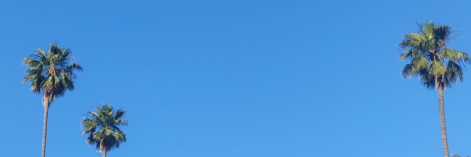 jdcarpentieri's profile banner image