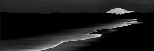 Alaric. banner
