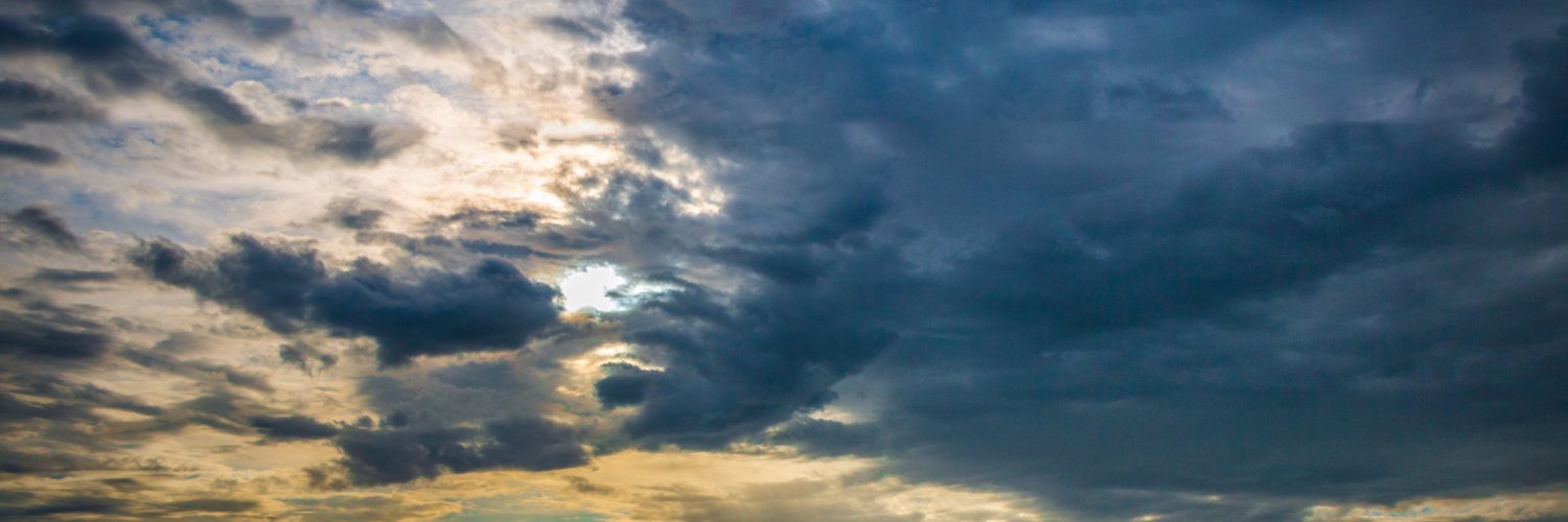 vegiemite's profile banner image