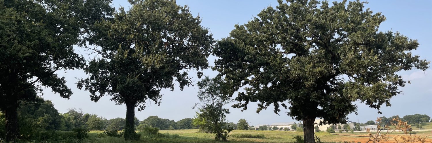 Cassandra Garber banner