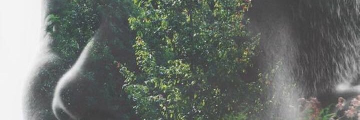 SabrKp's profile banner image