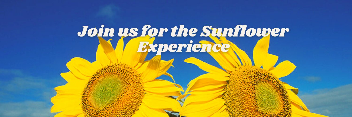 AmazingFallFun's profile banner image