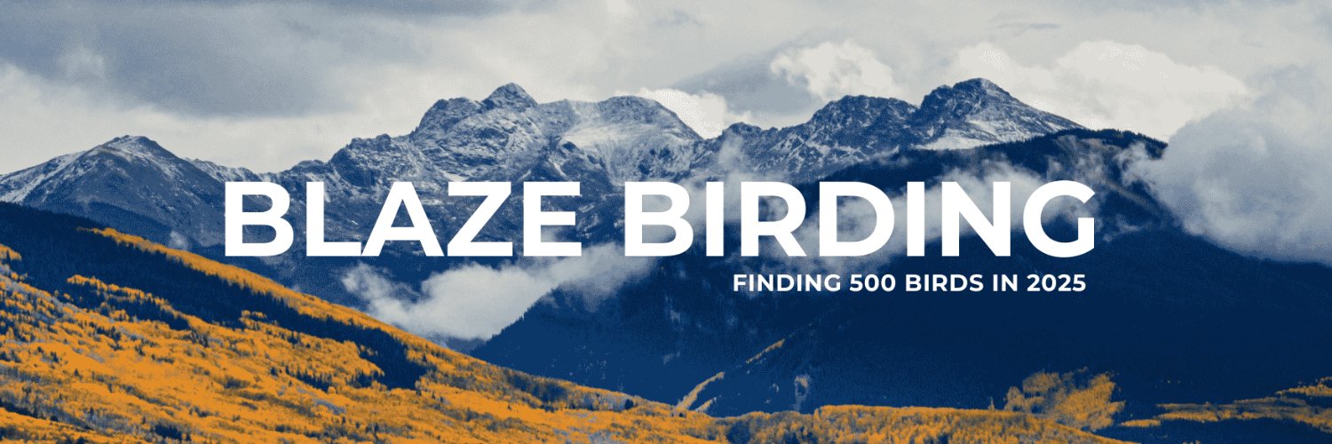 Blaze Birding | Birding Adventures banner
