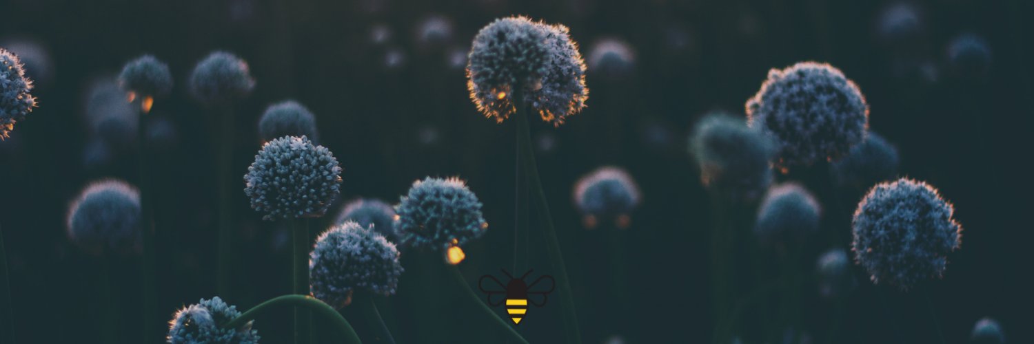 BHIVE Fashionista Bee banner