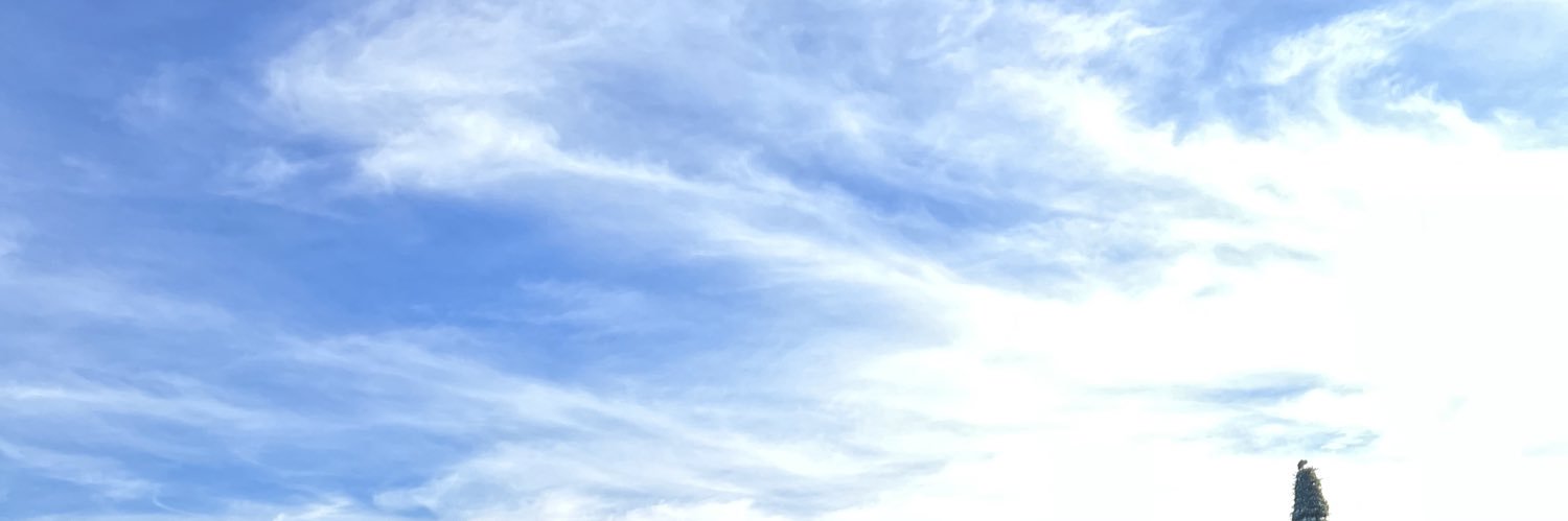 DarlinRebeca's profile banner image