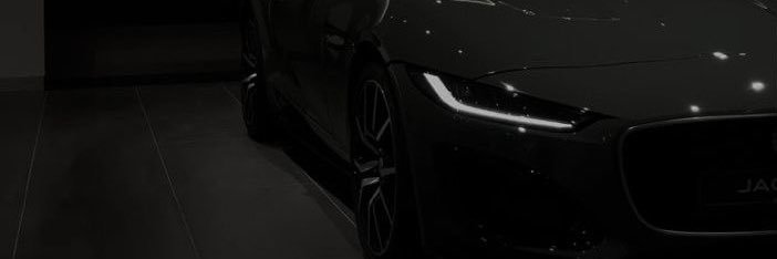 🦋 🐦‍🔥 banner