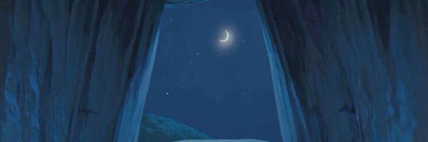 mis_haneen's profile banner image