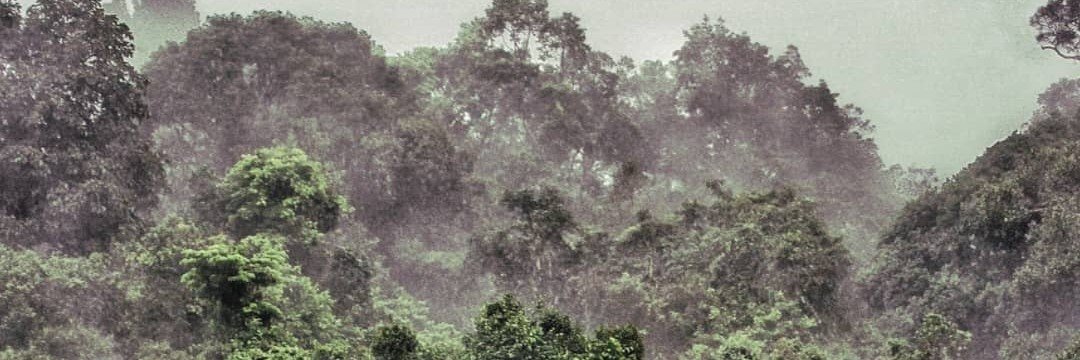 omerkbdy's profile banner image