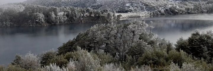 hippiefrustrad's profile banner image