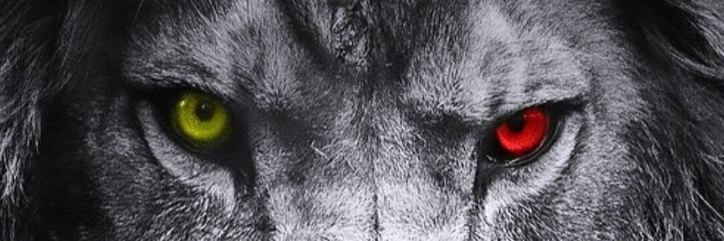 AVCIOĞLU 🇹🇷 banner