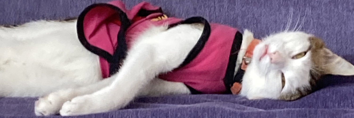 yasnn61's profile banner image