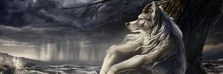 TransKitty🏳️‍⚧️😻 banner