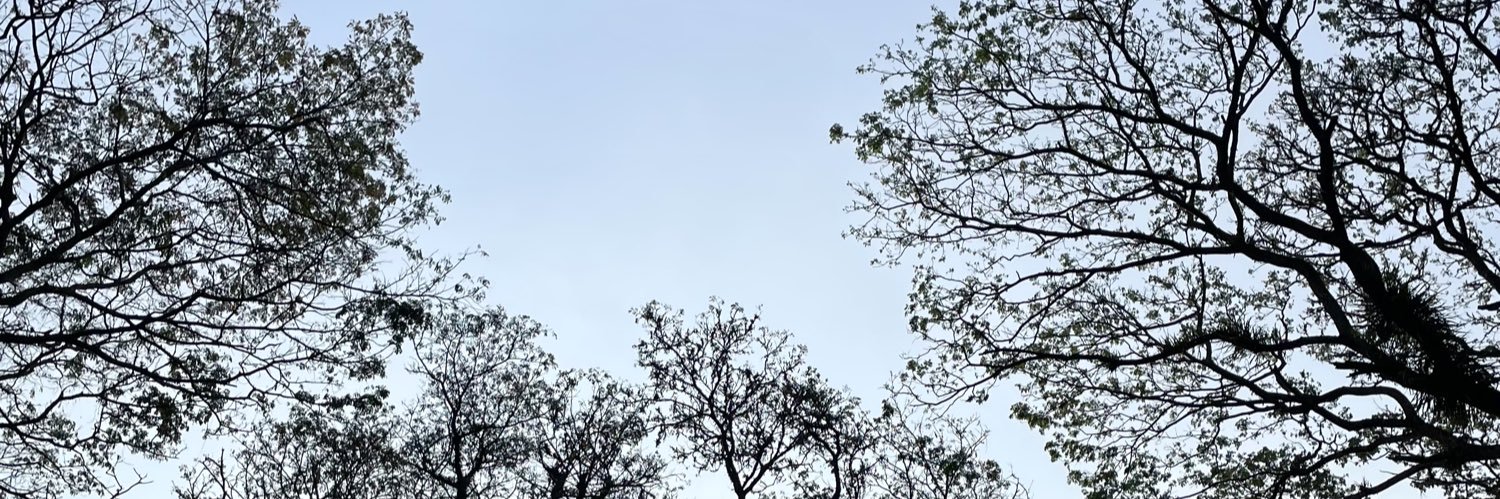 bukitpasir's profile banner image