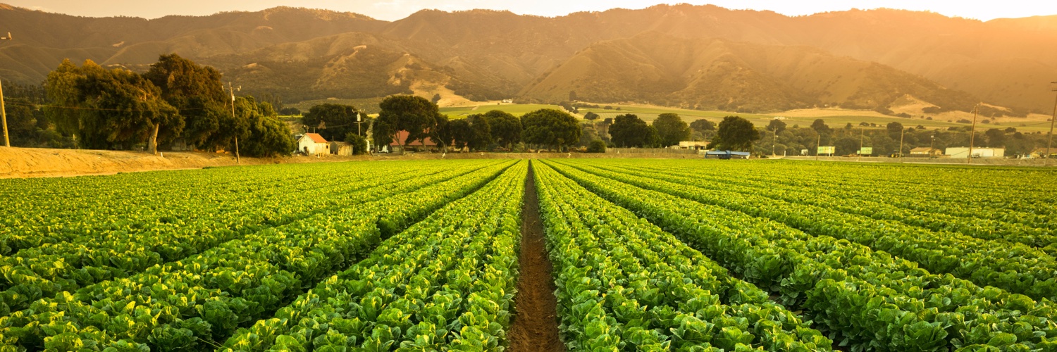 Civil Eats Profile Banner