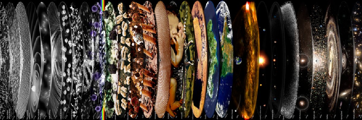 reigarw's profile banner image